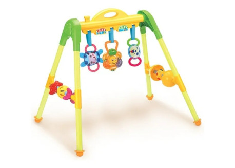 GYM CENTRO DE ACTIVIDADES BIMBI 4202