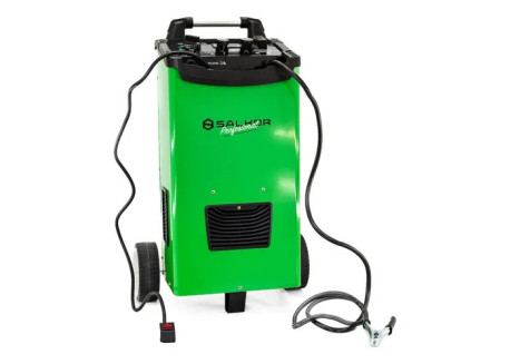 Cargador de Bateria hogar Salkor 12/24 V