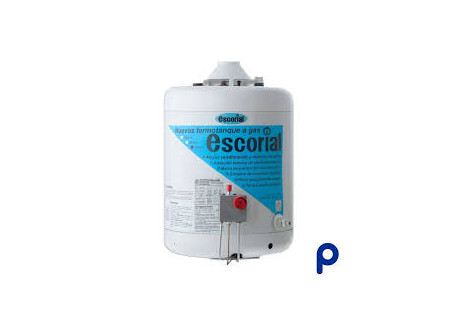 Termotanque Escorial 45 GN
